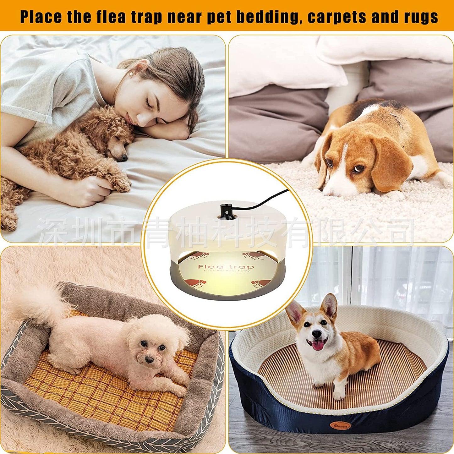 Authentic Flea Trap for Pets - Household Flea Light with Genuine Flea Stickers