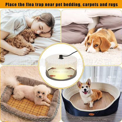 Authentic Flea Trap for Pets - Household Flea Light with Genuine Flea Stickers