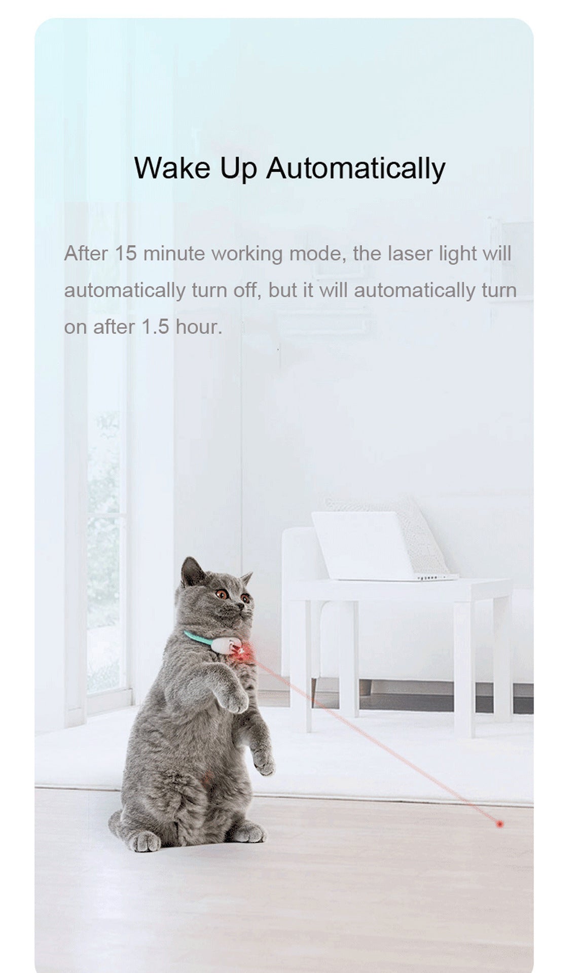 RUAYIRUA Smart Laser Cat Toy Collar | Interactive Pet Toy for Cats