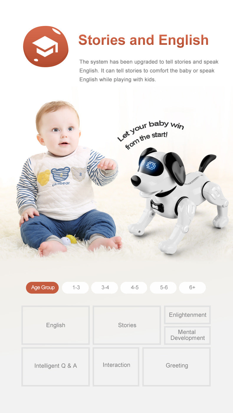 Interactive Remote Control Robot Dog Toy with Accessories