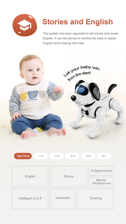 Interactive Remote Control Robot Dog Toy with Accessories